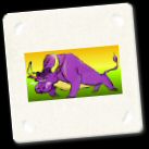 bull.jpg